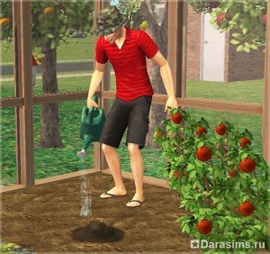 Садоводство в «The Sims 2 Seasons»