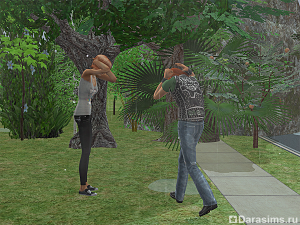 Времена года в «The Sims 2» и их особенности