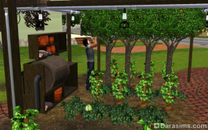 Теплица «Брось камень» в The Sims 3 Store
