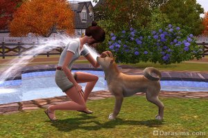 Собаки и щенки в «The Sims 3 Питомцы»