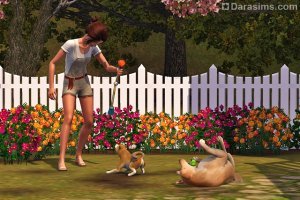 Собаки и щенки в «The Sims 3 Питомцы»