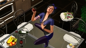 Гости разошлись [Sims 3]