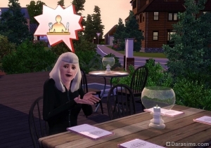 Долгожданный бизнес появится в The Sims 3 Store?