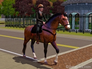 Верховая езда в «The Sims 3 Питомцы»