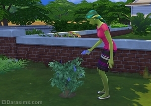 Садоводство в The Sims 4