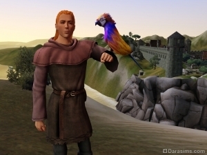 Кузнец с птицей в The Sims Medieval