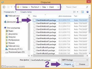 Открытие файла ClientDeltaBuild0.package