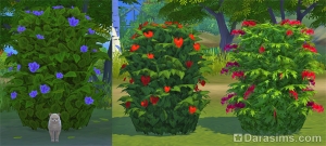 Обследование кустов в Sims 4