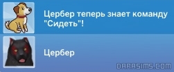 Уведомление о выученной команде у собаки Уведомление о выученной команде у собаки