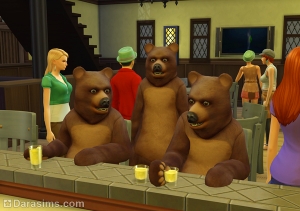 Вечер медведей в баре