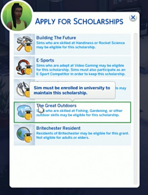 Стипендии в Симс 4 В университете