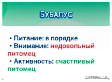 Обзор каталога «Симс 4 Мой первый питомец»