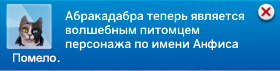 Кошка в роли волшебного питомца